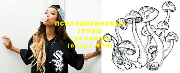 метадон Каменногорск