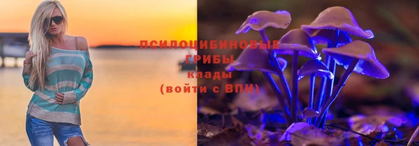 прущая мука Каменка