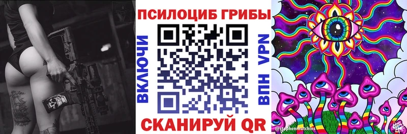 Купить где  Шагонар  Галлюциногенные грибы ЛСД 