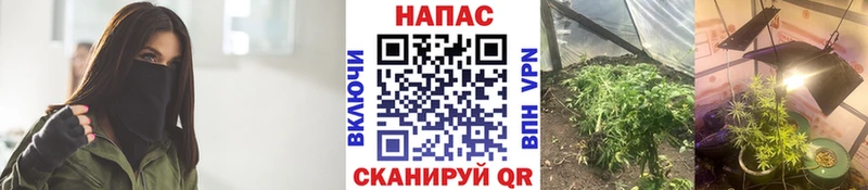 Канабис тримм  Купить  Шагонар 